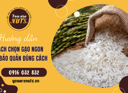 Hướng dẫn cách chọn gạo ngon và bảo quản đúng cách