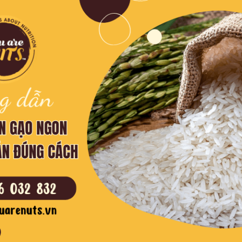 Hướng dẫn cách chọn gạo ngon và bảo quản đúng cách