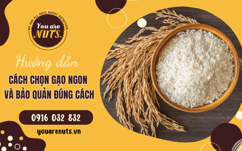 cách chọn gạo ngon